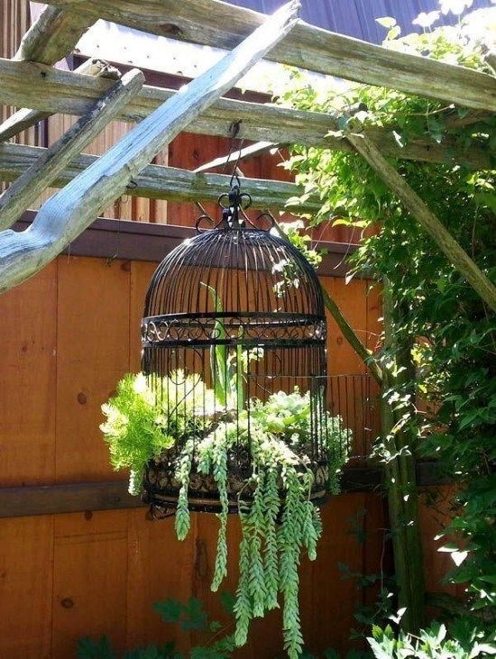 10 Small Gardening Ideas To Bring Life To Your Yard – Society19