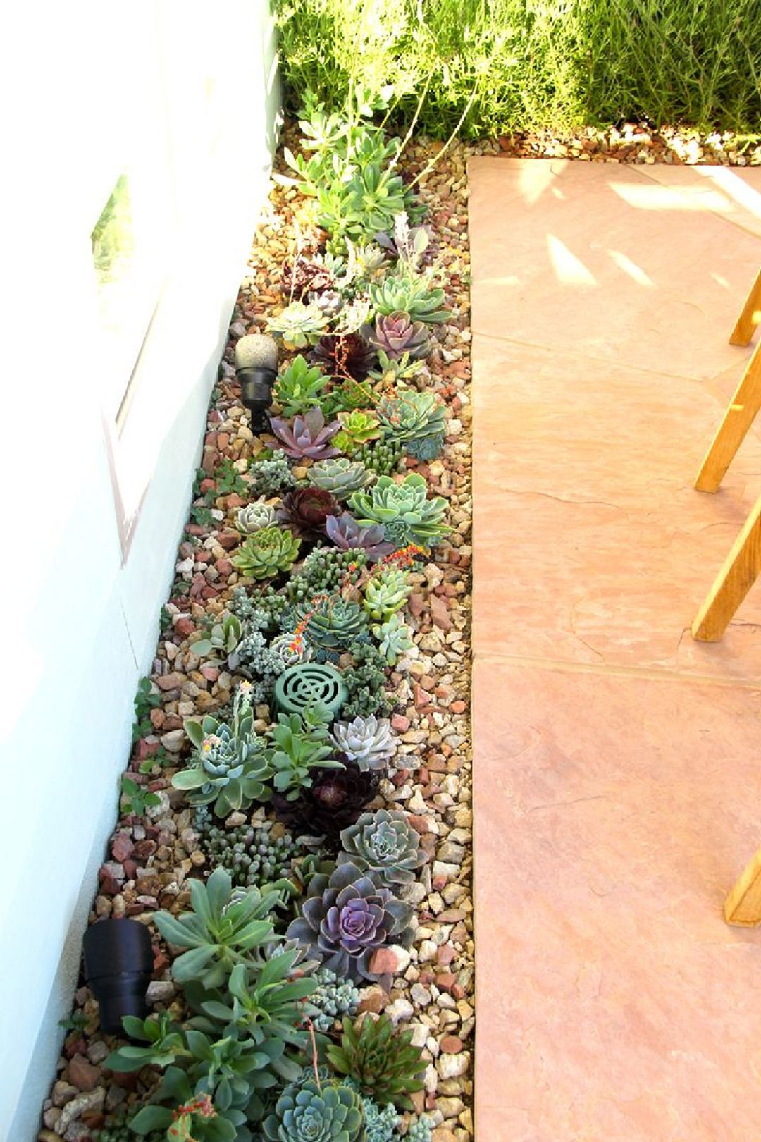 15 Gorgeous Succulent Garden Ideas for Your Backyard — Design & Decorating