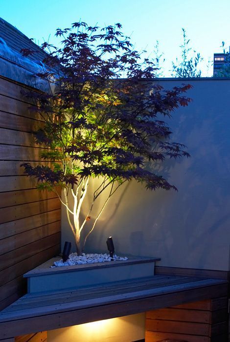 20 Dreamy Garden Lighting Ideas