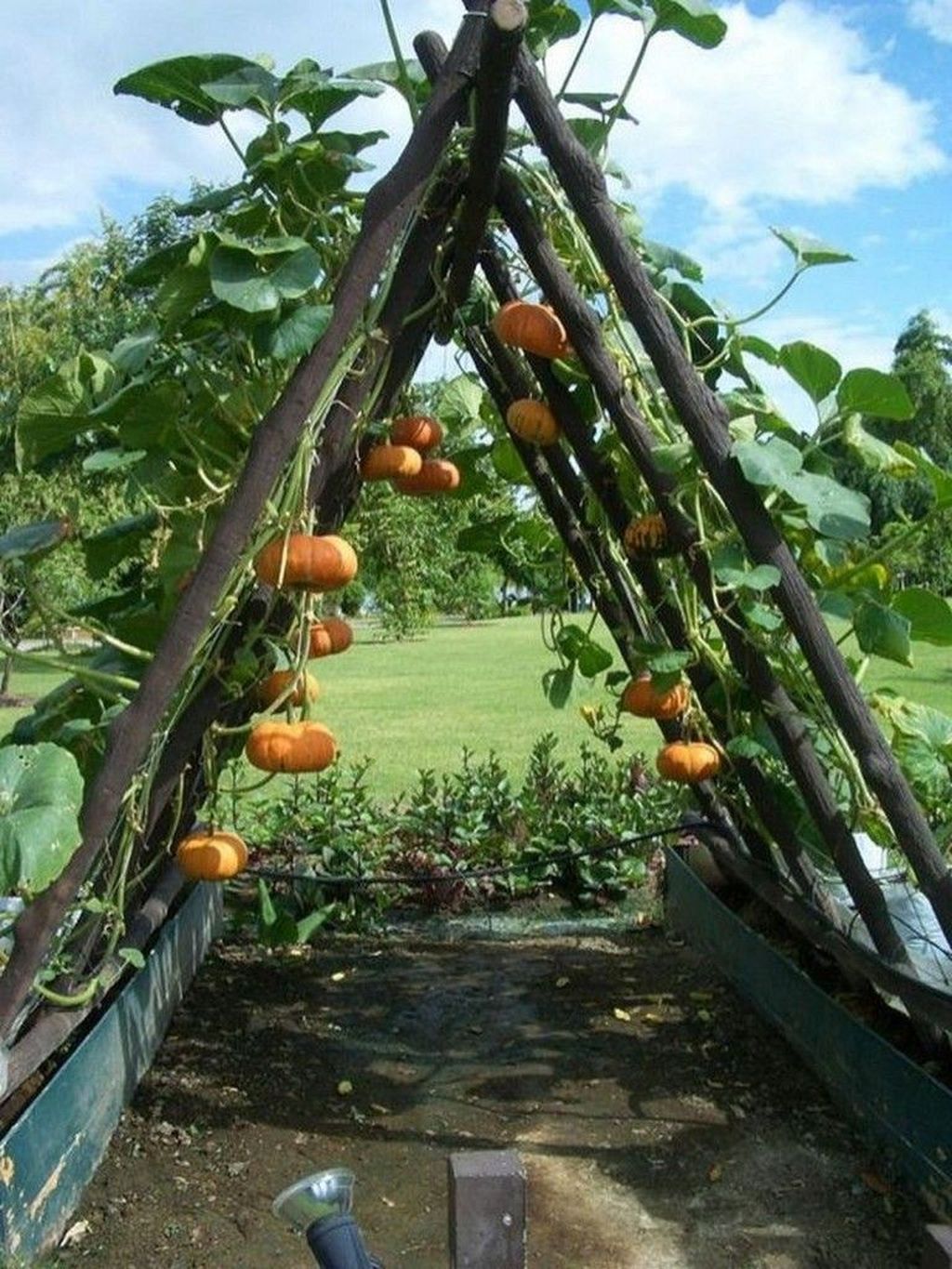 80 Affordable Backyard Vegetable Garden Design Ideas – DoMakeover.com