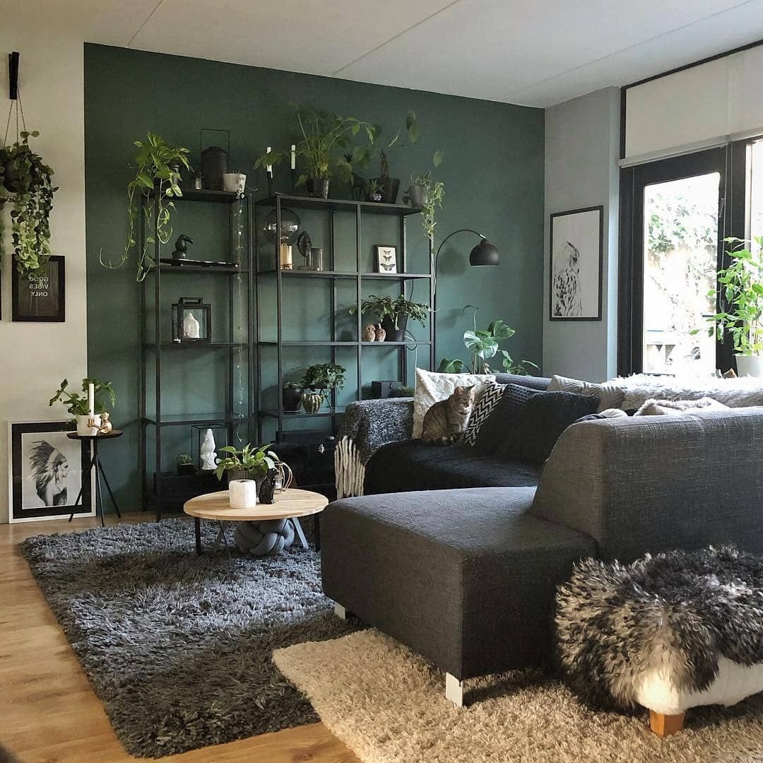 @nifti.pics on Instagram: “Gorgeous green living room. 💚 📷 by @mooiibo . . . . . . . . . . . #scandinavian #scandinaviandesign #scandinavianstyle #scandinavianhomes…”