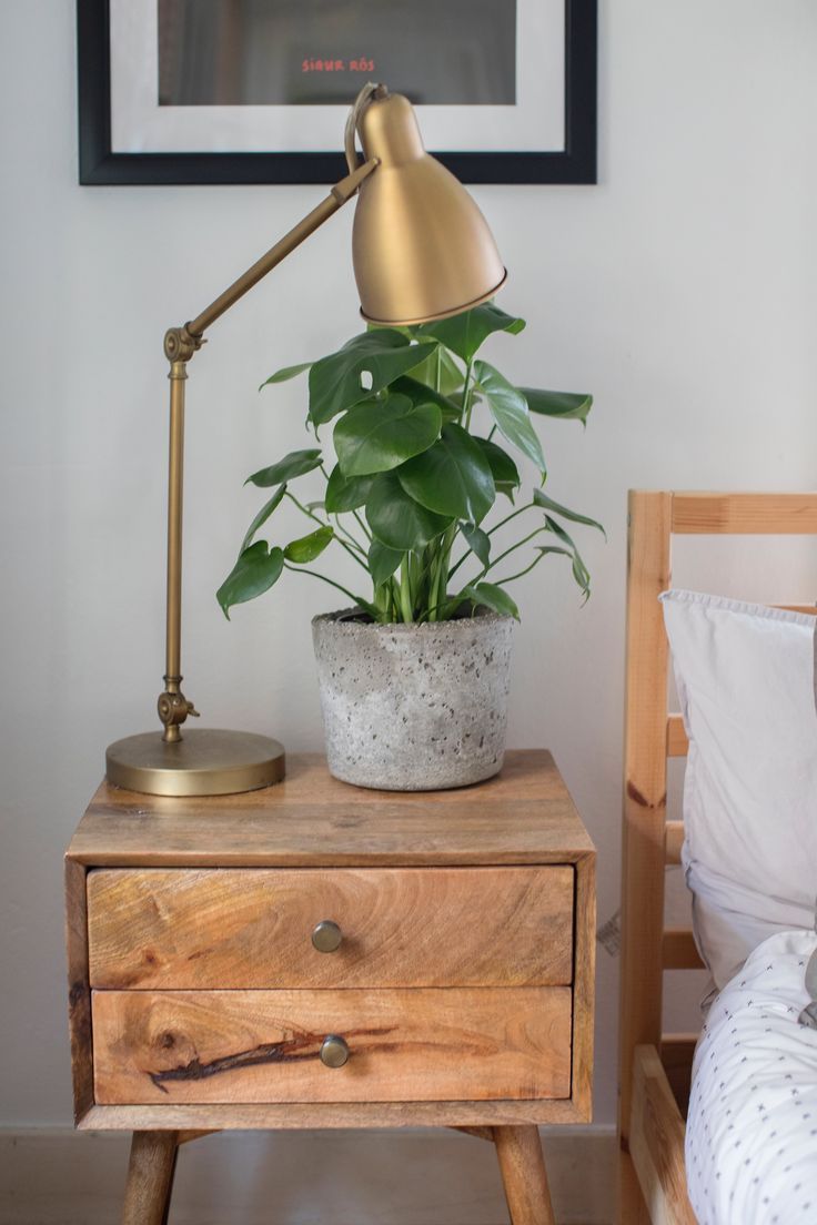 A Mobile Plant Shop Owner’s “Muted Folky Boho” Home
