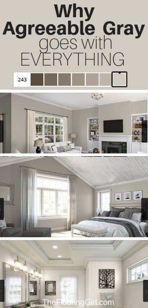 Agreeable Gray, the Ultimate Neutral Greige Paint Color | The Flooring Girl