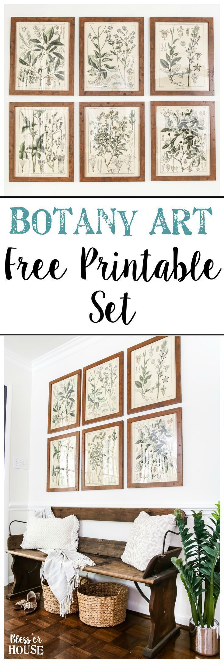 Botany Printable Art and a Wall Decor Hanging Trick - Bless'er House