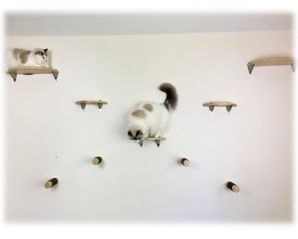 Cat Tree Wall Tower  (Set of 9) | 2 Cat Shelves, 3 Cat Steps, 4 Cat Post Steps