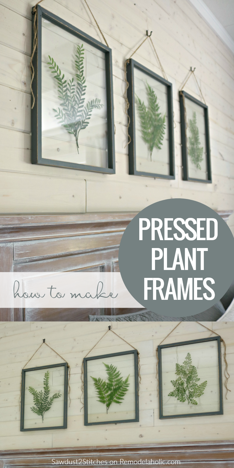 How to Make Your Own DIY Pressed Plant Frame