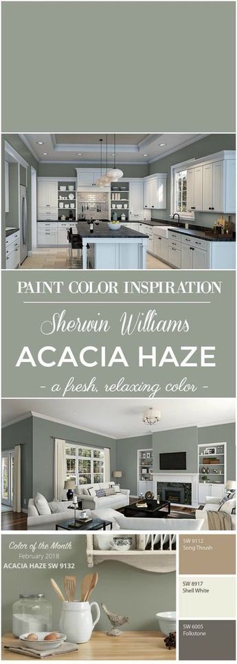 Sherwin Williams Acacia Haze Paint Color