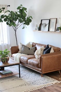 Timber Charme Tan Sofa