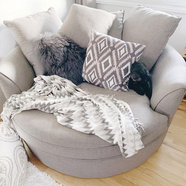 Urban Barn on Instagram: “The perfect perch for a snuggle or snooze, the Nest Chair is a comfy retreat for one or two 🐶. 📷: @marlivings”