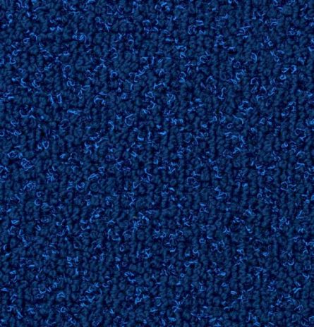 Blue Carpet - Various Styles - Rental | PRI Productions, In