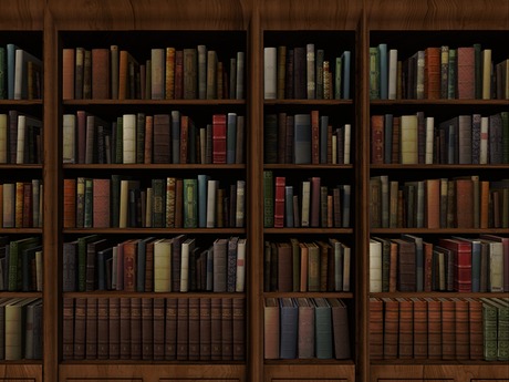 Second Life Marketplace - Dutchie mesh bookcases with rows of .