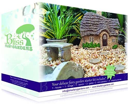 Amazon.com: Bliss Fairy Gardens Magical Starter Kit for Her .