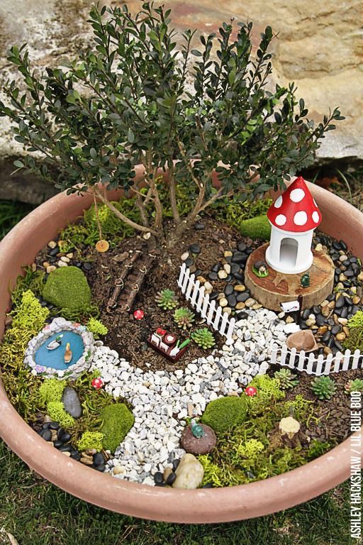 Fairy Garden Ideas - How to make a Bonsai Tree Fairy Garden .