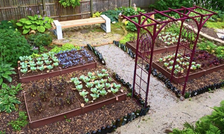 Best 20 Vegetable Garden Design Ideas for Green Living - MORFLO
