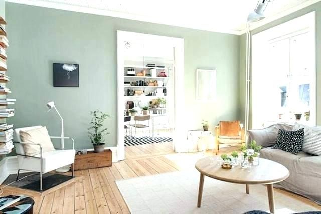 light mint green living room light | Green walls living room, Sage .