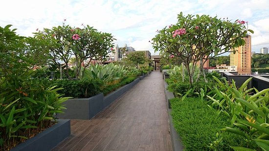 Roof garden - Picture of Holiday Inn Express Singapore Clarke Quay .