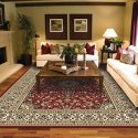 rugs for living room