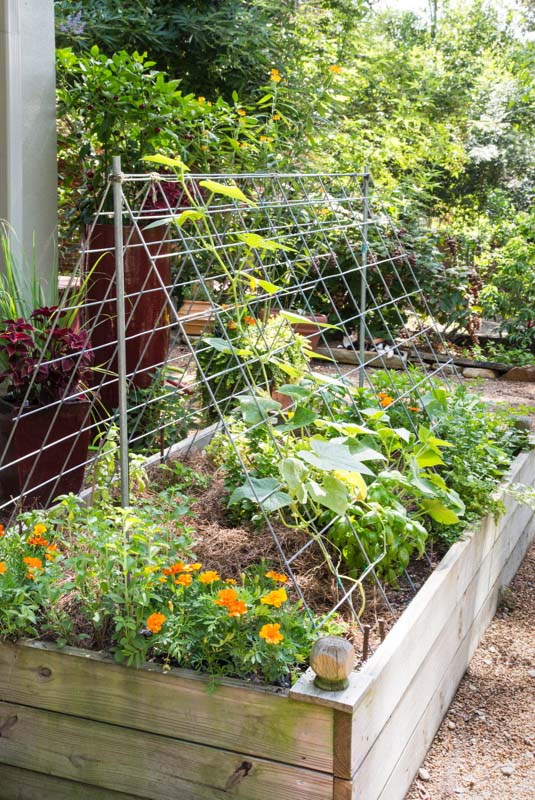 Small Garden Ideas – Bonnie Plan