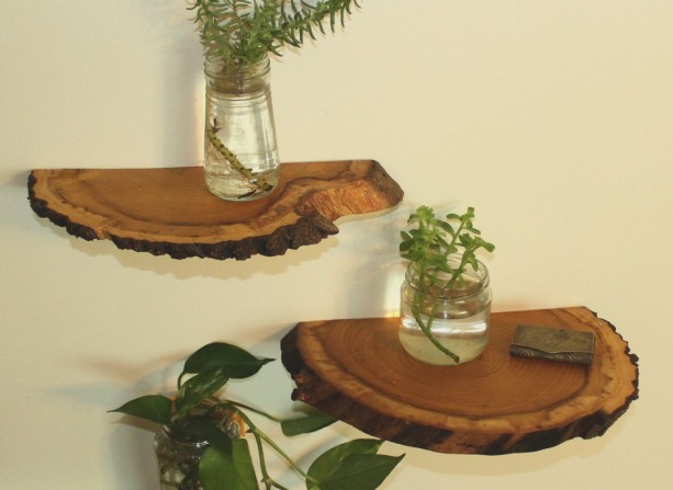 Wood Slab Shelves, Natural Wood Shelves, Wood slice shelves | aftc